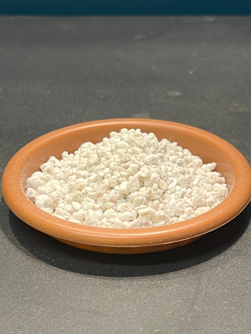 Perlite pour plante - Sachet de 1 litre