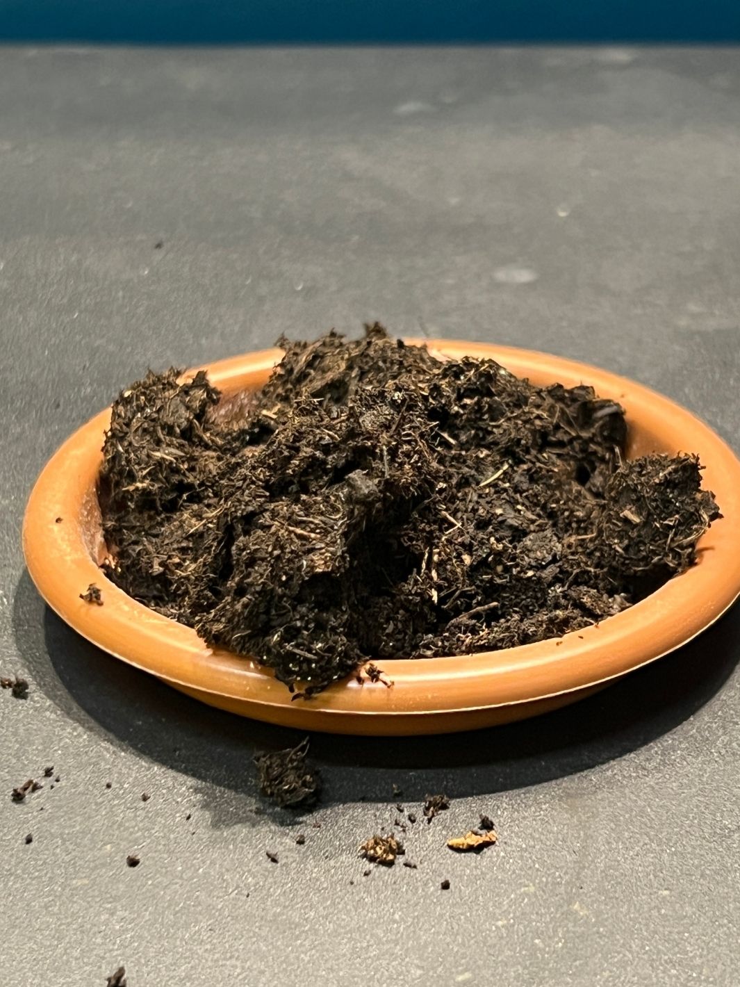 Terreau pour plante d'intérieur - Sachet de 1 litre
