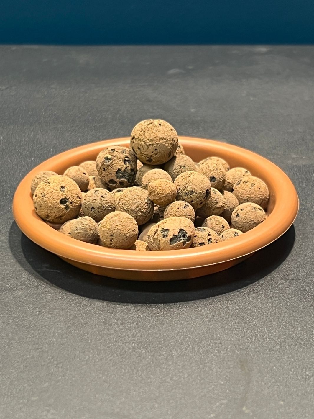 Billes d'argiles pour plante - Sachet de 1 litre