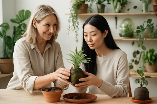 Atelier privé à domicile à Senlis : Découvrez le luxe des cours particuliers personnalisés