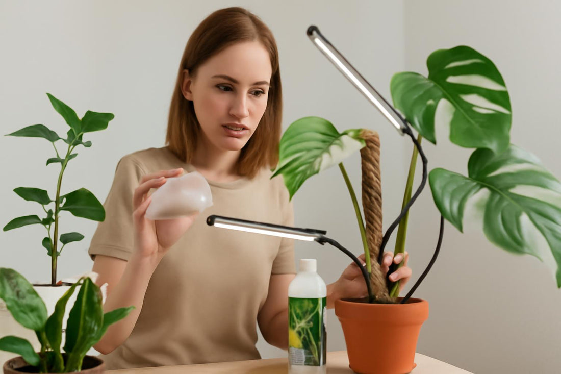 Comment choisir le meilleur kit anti-thrips et éclairage LED pour vos plantes