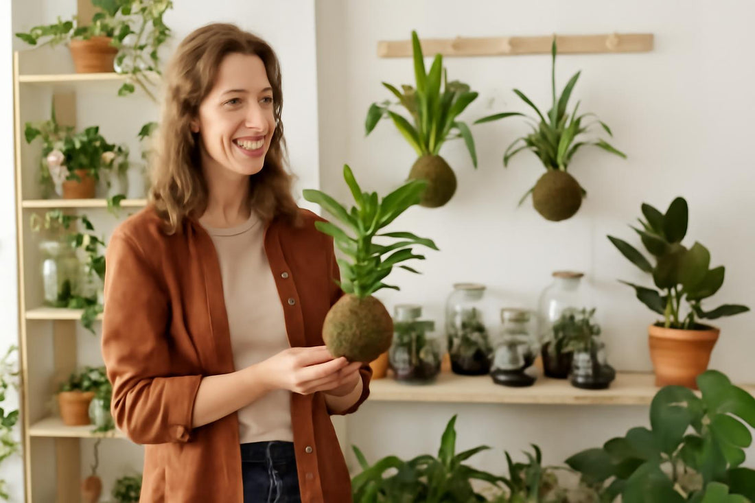 À la découverte des magasins de plantes locales à Amiens