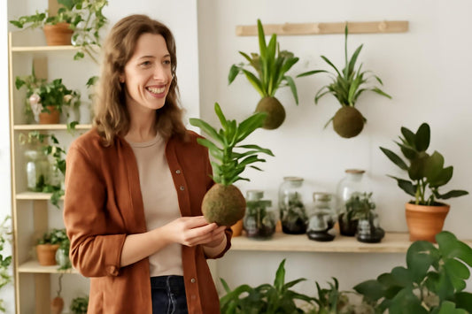 À la découverte des magasins de plantes locales à Amiens