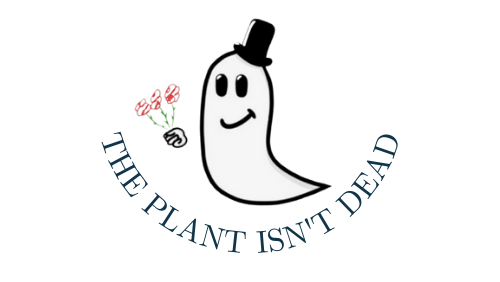 The plant isn't dead